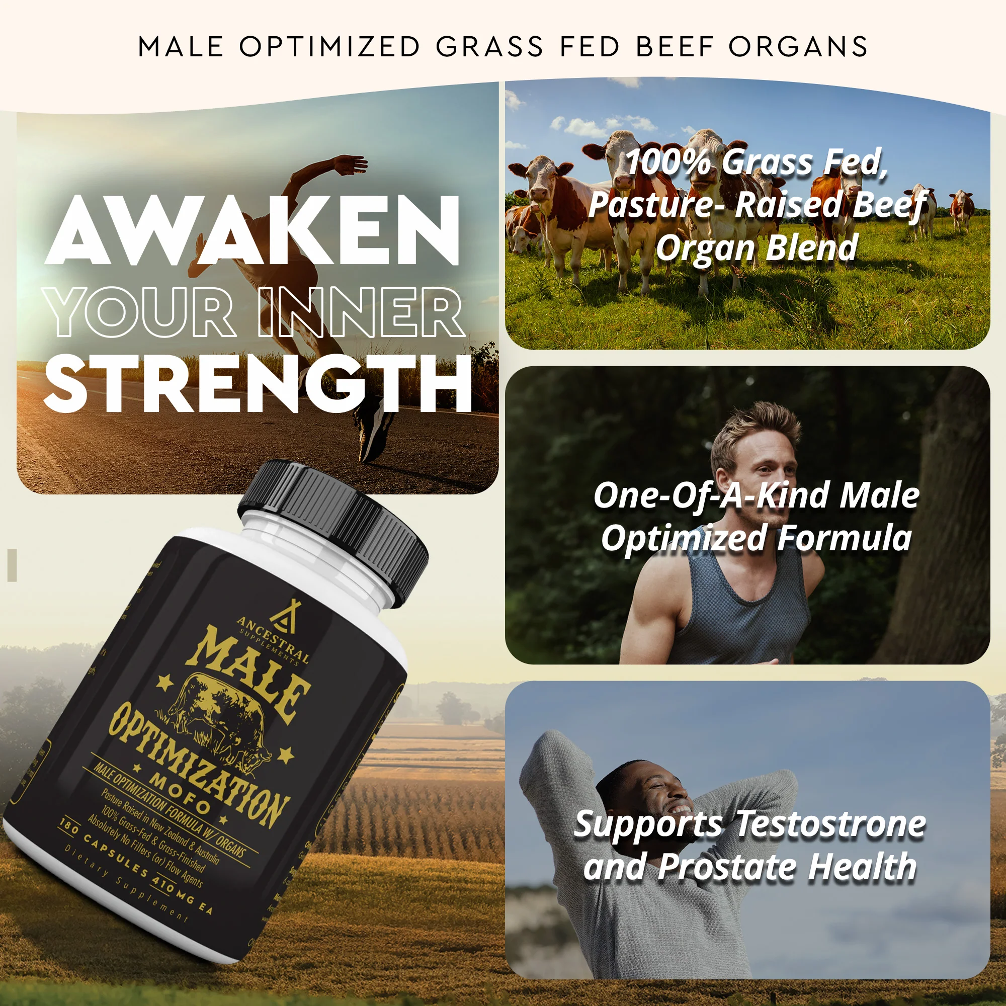MOFO: Male Optimization Formula - Image 6